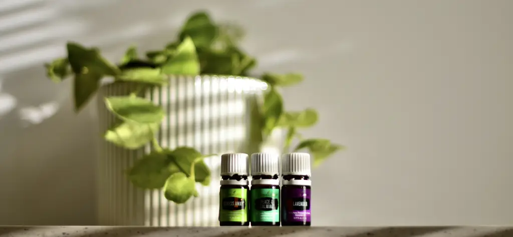 安眠藥診所懶人包：擺脫失眠，一覺好眠！